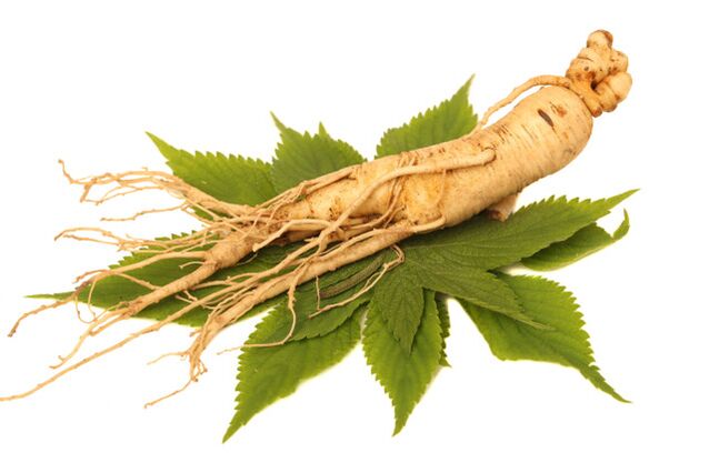 Root de ginseng dans le pulvérisation zxcvbnmqwert